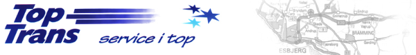 TopTrans Logo